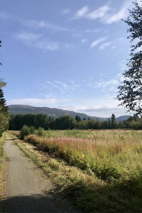 4 rum Lägenhet på Kyrkängesvägen 10D Tegefjäll Åre kommun - bild 38