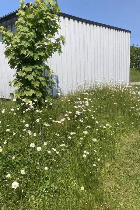 3 rum Radhus på Ängvaktarvägen 51 Långängen Hallsbergs kommun - bild 23