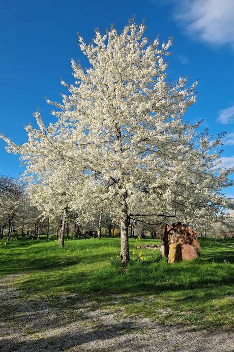 7 rum Villa på Tuna 46 Enhörna Södertälje kommun - bild 31
