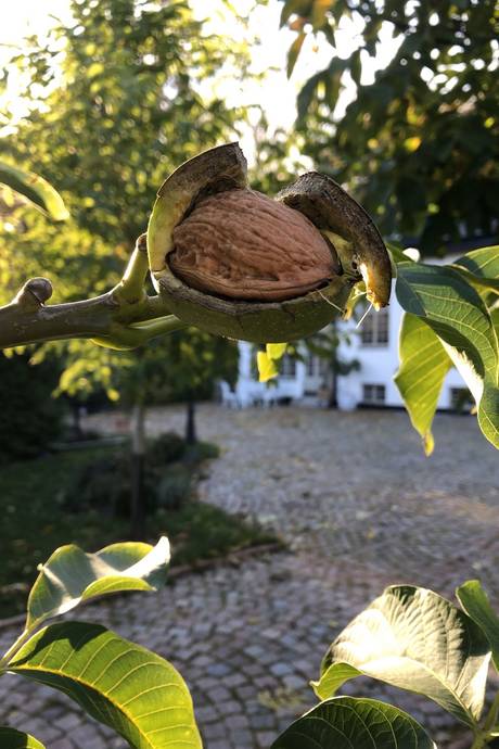 19 rum Villa på Rundkyrkoallén 1 Bromma Stockholms kommun - bild 51