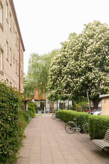 2 rum Lägenhet på Östra Ansgarigatan 95 C Limhamn Malmö kommun - bild 34