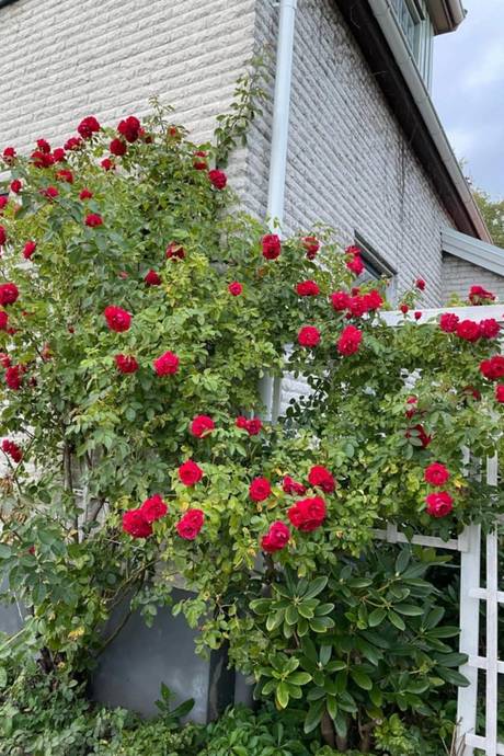 6 rum Villa på Norra Ringvägen 41 Centrum Tidaholms kommun - bild 30