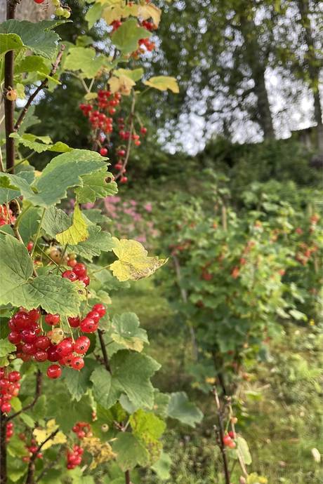 5 rum Villa på Annestorpsvägen 15 Lindome | Annestorp Mölndals kommun - bild 51