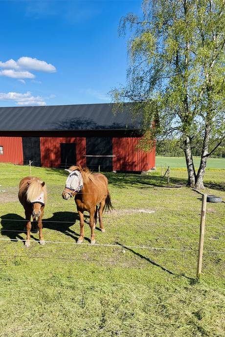 6 rum Gård/skog på Byn Lillberget  Säffle kommun - bild 7