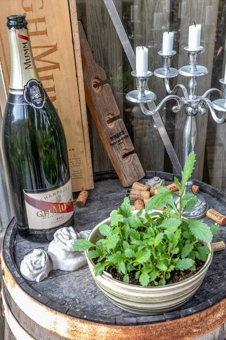 5 rum Villa på Parkmätaregatan 29 Bunkeflostrand Malmö kommun - bild 36