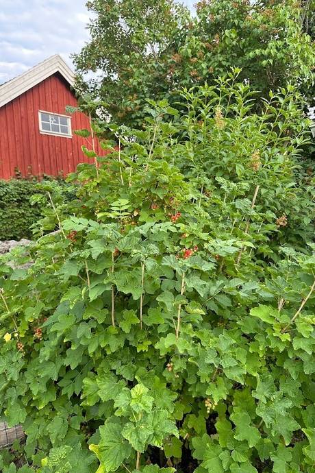 9 rum Villa på Kållasgårdsgatan 87 Varla Kungsbacka kommun - bild 41