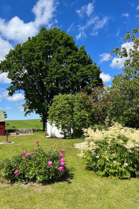 5 rum Villa på Norra Björstorp 305 Norra Björstorp Tomelilla kommun - bild 41