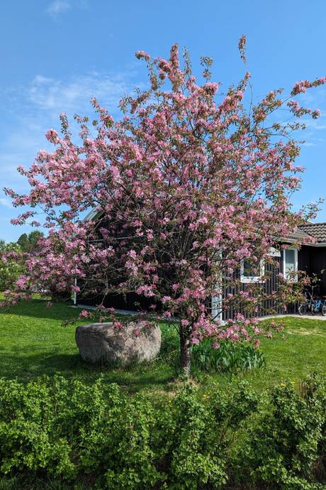 4 rum Villa på Kantarellvägen 15A Sävast Bodens kommun - bild 25