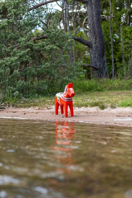 5 rum Vinterbonat fritidshus på Tisterholmen 1 - Egen Ö Rådmansö Norrtälje kommun - bild 44