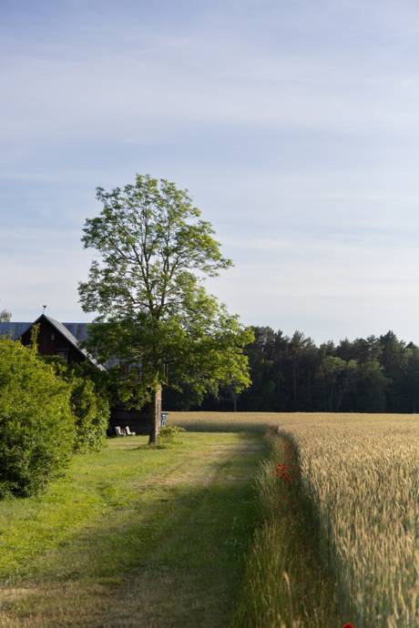 5 rum Villa på Eksta Jakobs 409 Eksta - Västra Gotland Gotlands kommun - bild 53