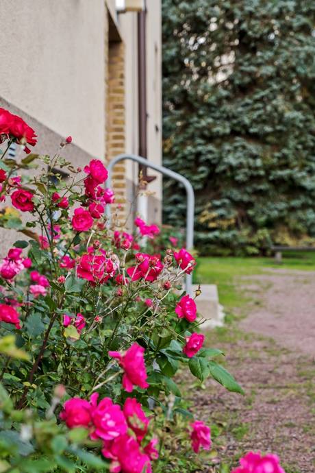 3 rum Lägenhet på Knarrhögsgatan 8A Bosgården Mölndals kommun - bild 4