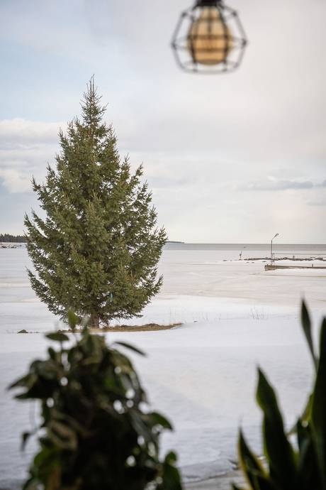 3 rum Villa på Grannäsvägen 96 Jävrebyn Piteå kommun - bild 46
