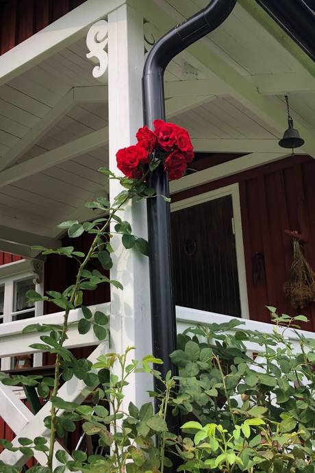 4 rum Villa på Hälletorp Åsen 1 Arvika Eda kommun - bild 13