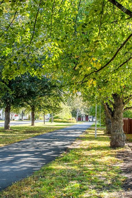 3 rum Lägenhet på Stenmarksvägen 6 Haga Umeå kommun - bild 29