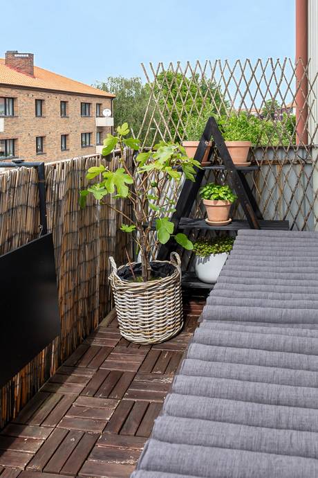 2 rum Lägenhet på Liljeborgsgatan 14 B Centrum Trelleborgs kommun - bild 16