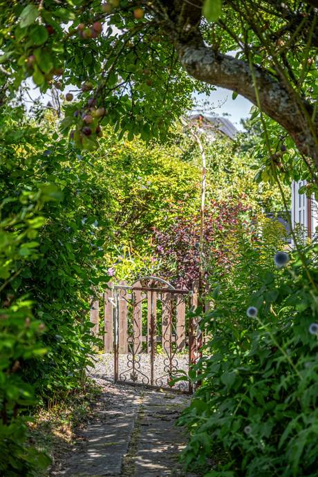 1 rum Fritidshus på Rådmansgatan 15 - kolonistuga nr 34 i koloniområdet S:t Månslyckan Jutahusen Lunds kommun - bild 10