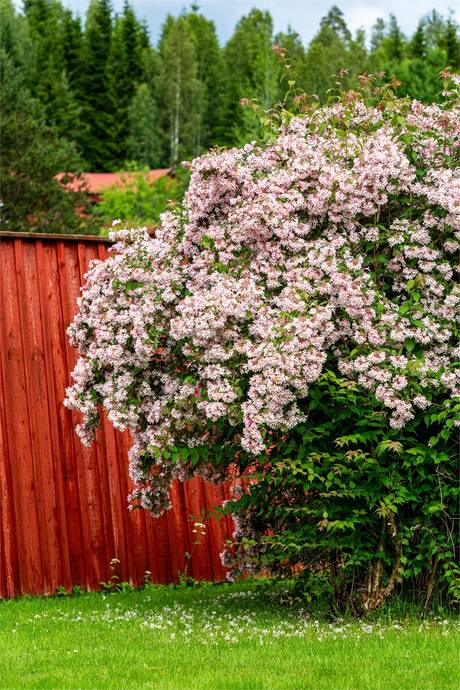 3 rum Villa på Kopparbergsvägen 3 Storå Lindesbergs kommun - bild 29