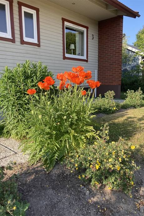 4 rum Villa på Svanvägen 3 Hudiksvall - Sandvalla Hudiksvalls kommun - bild 39