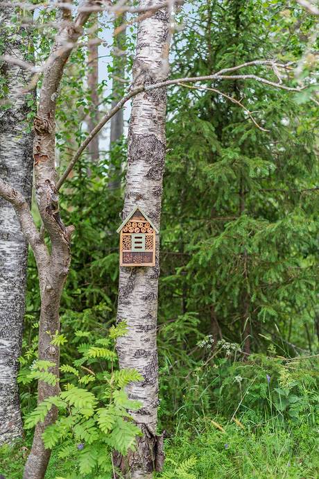 2 rum Villa på Skogshemsvägen 7 Karlsborg Kalix kommun - bild 23