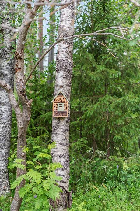 2 rum Villa på Skogshemsvägen 7 Karlsborg Kalix kommun