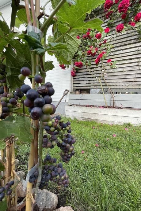 5 rum Villa på Annestorpsvägen 15 Lindome | Annestorp Mölndals kommun - bild 65