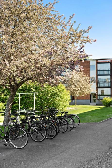 1.5 rum Lägenhet på Hagavägen 39 Hagalund Borlänge kommun - bild 15