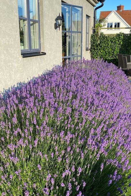 3 rum Fritidshus på Norra Äppelrosvägen 1 Vik Simrishamns kommun - bild 3