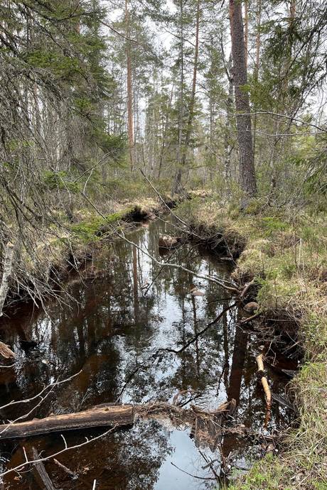 Gård med skogsbruk på Leksand Ytteråkerö 21:21 Björberget Leksands kommun - bild 15