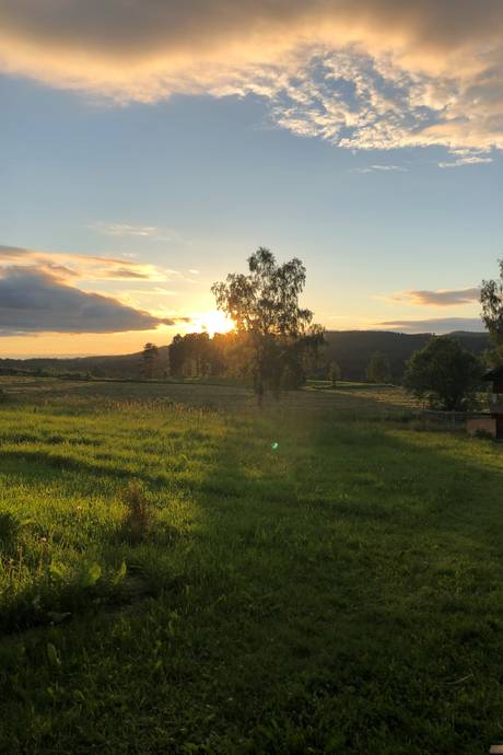 5 rum Gård med jordbruk på Öckne 110 Stöde Sundsvalls kommun - bild 30