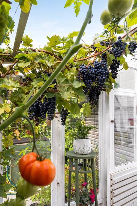 9 rum Villa på Båtsmansvägen 4 Rönnäng Tjörns kommun - bild 2