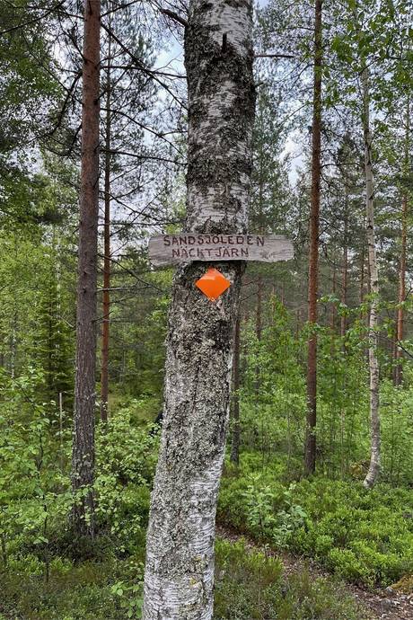 3 rum Vinterbonat fritidshus på Lofttjärn 73 & Lofttjärn 75 Lofttjärn Ljusnarsbergs kommun - bild 42