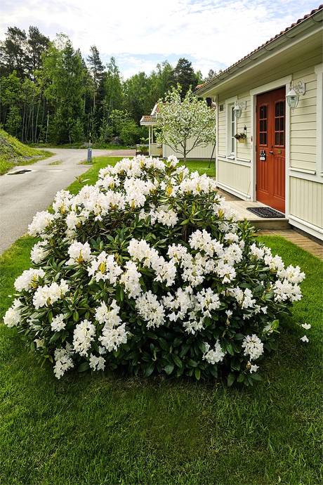 7 rum Villa på Sofieholm 801 Skärgården Söderhamns kommun - bild 25