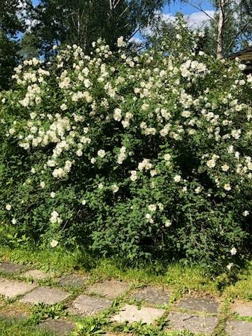 2 rum Vinterbonat fritidshus på Pumpstigen 7 Sundänge Köpings kommun - bild 25