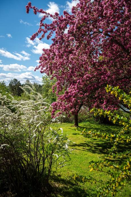 6 rum Villa på Avavägen 12 Delsbo Hudiksvalls kommun - bild 41