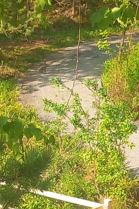 12 rum Gård utan jordbruk på Ina 231 SÖDERALA Söderhamns kommun - bild 68