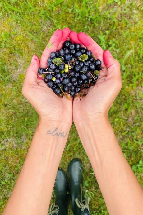 3 rum Fritidshus på Finnarsörsvägen 64 Fogdö Norrtälje kommun - bild 33