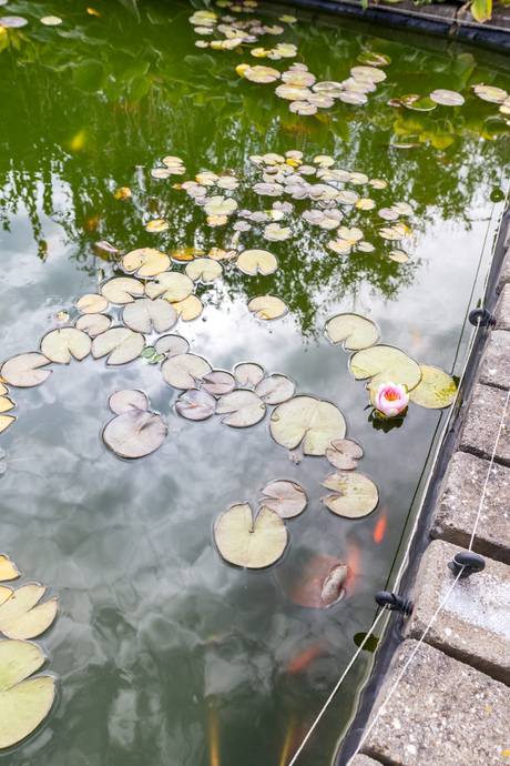 9 rum Villa på Båtsmansvägen 4 Rönnäng Tjörns kommun - bild 41