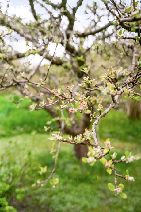 7 rum Villa på Alehagsvägen 2 Vallda Kungsbacka kommun - bild 48
