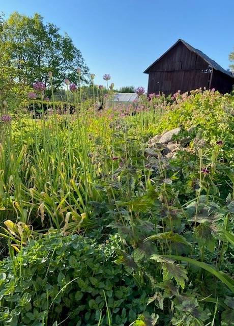 7 rum Villa på Järnbol Dammlyckan   Säffle kommun - bild 61