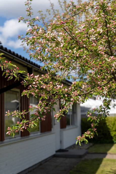 5 rum Villa på Oxelgatan 18 Gunnarsbo Mullsjö kommun - bild 39