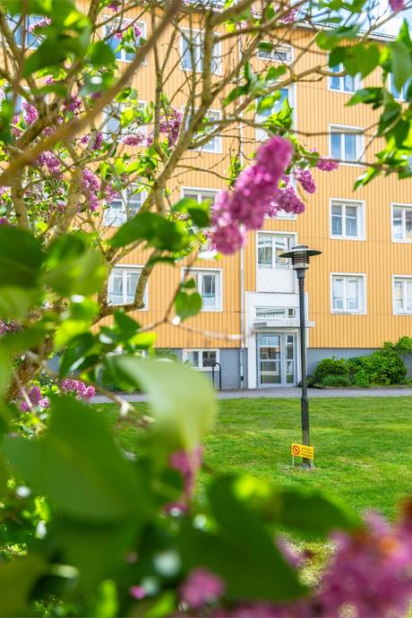 3 rum Lägenhet på Parkgatan 8C Söder Uddevalla kommun - bild 18