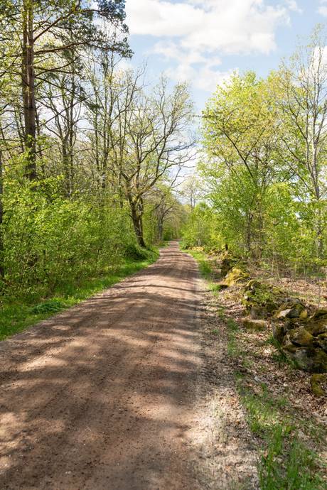 4 rum Villa på Rödhakevägen 3 Brösarps Backar Tomelilla kommun - bild 5