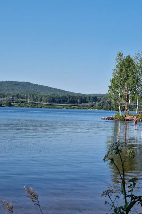 3 rum Vinterbonat fritidshus på Kallbäcksvägen 24 Skog Söderhamns kommun - bild 45