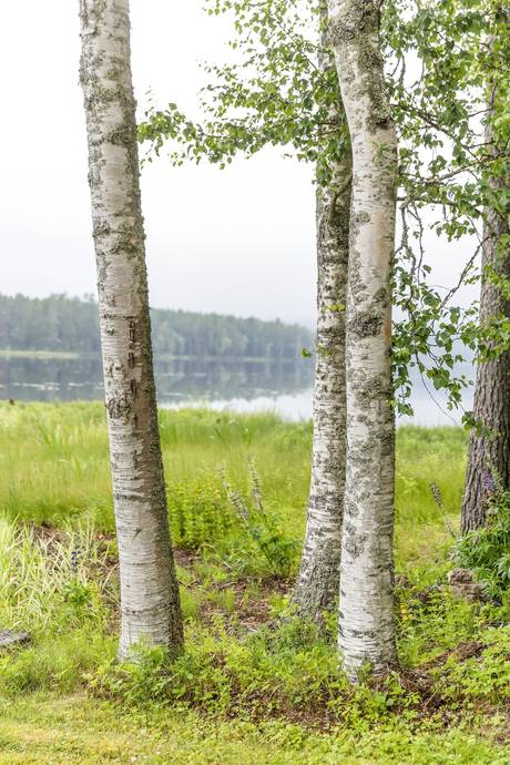 3 rum Vinterbonat fritidshus på Faluvägen 269 Ludvika kommun - bild 29