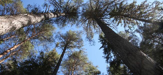 Gårdar/skogar till salu - Västernorrlands län - Hemnet
