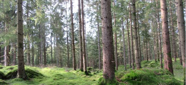 Skogsfastigheter Till Salu Halland Gårdar/skogar till salu - Hylte kommun - Hemnet
