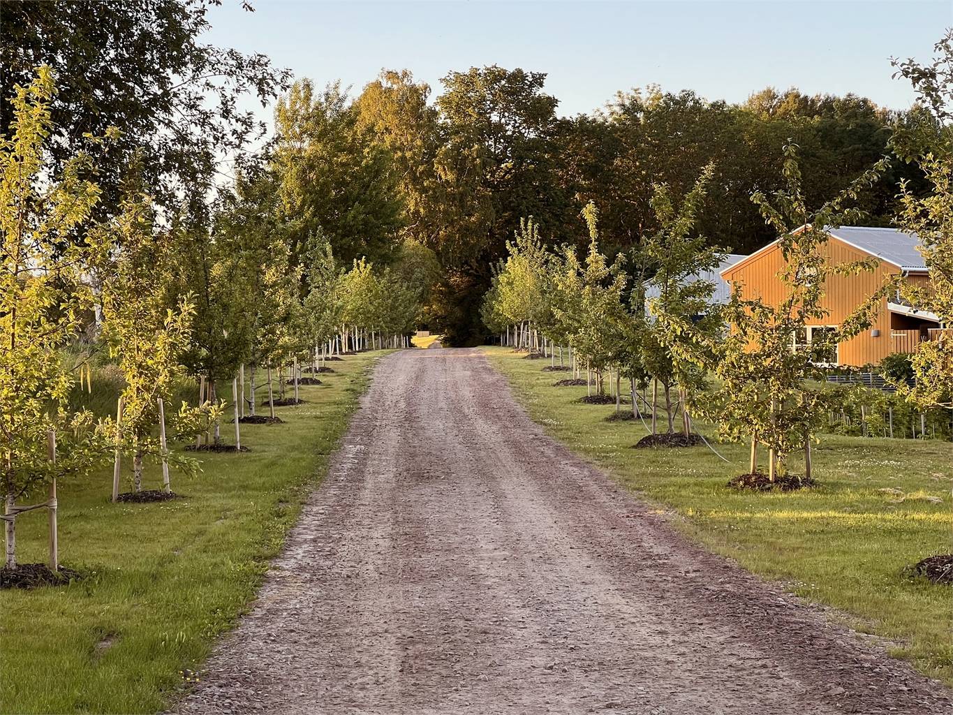 Villa på Knistad Äppelby Knistad Skövde kommun - bild 10