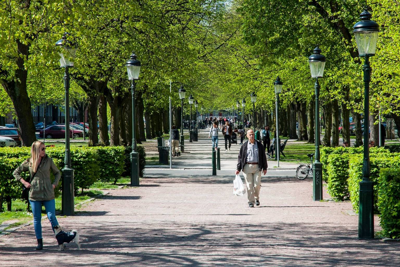 Lägenhet på Majorsgatan Malmö kommun - bild 13
