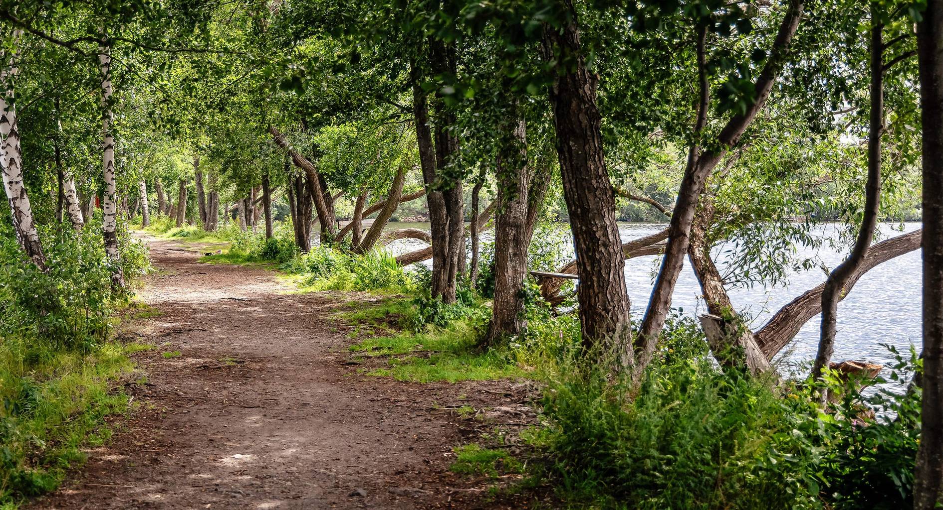 Lägenhet på Fredman i Hägersten Hägersten Stockholms kommun - bild 30