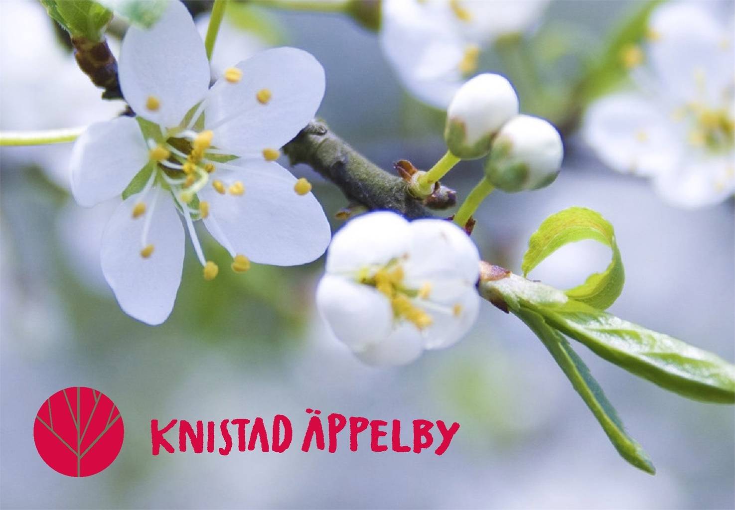 Villa på Knistad Äppelby Knistad Skövde kommun - bild 1